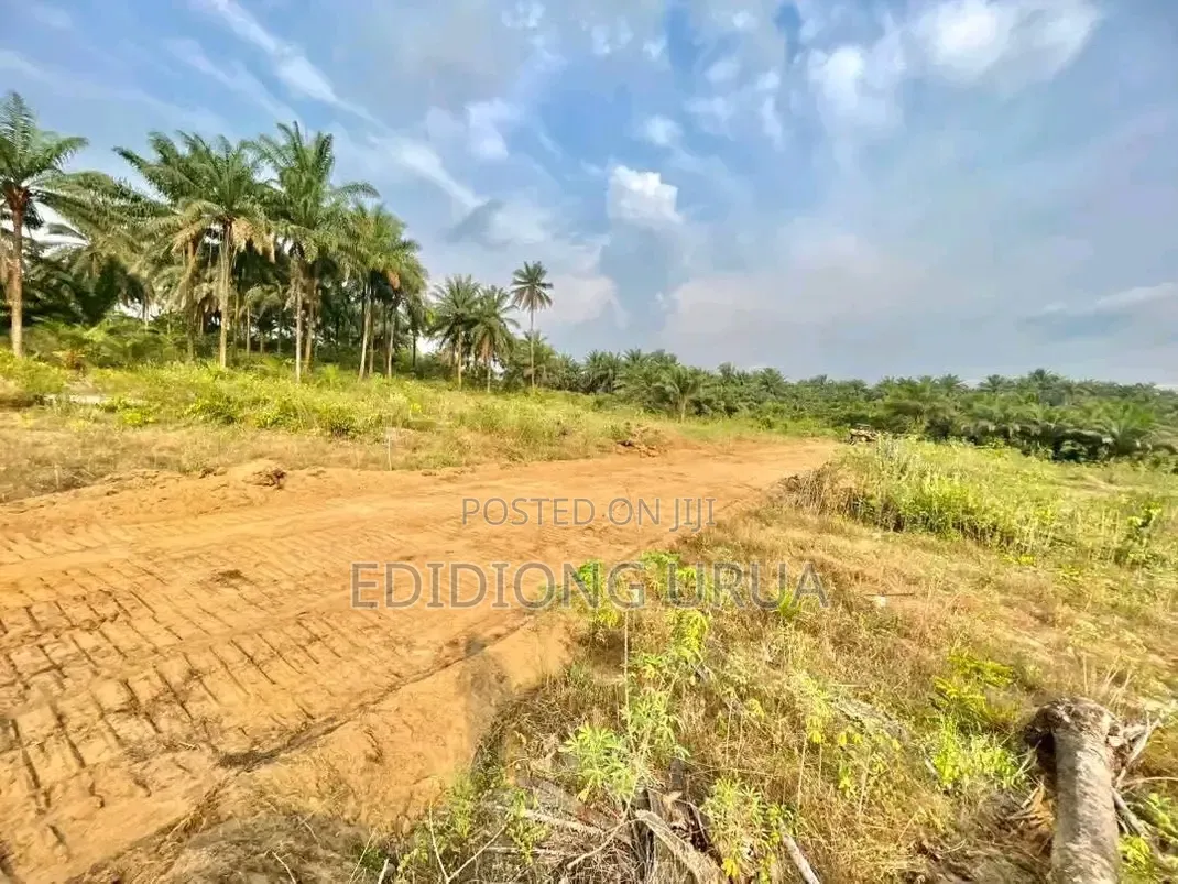 Plots of Land for Sale in Calabar, Cross River State in Calabar