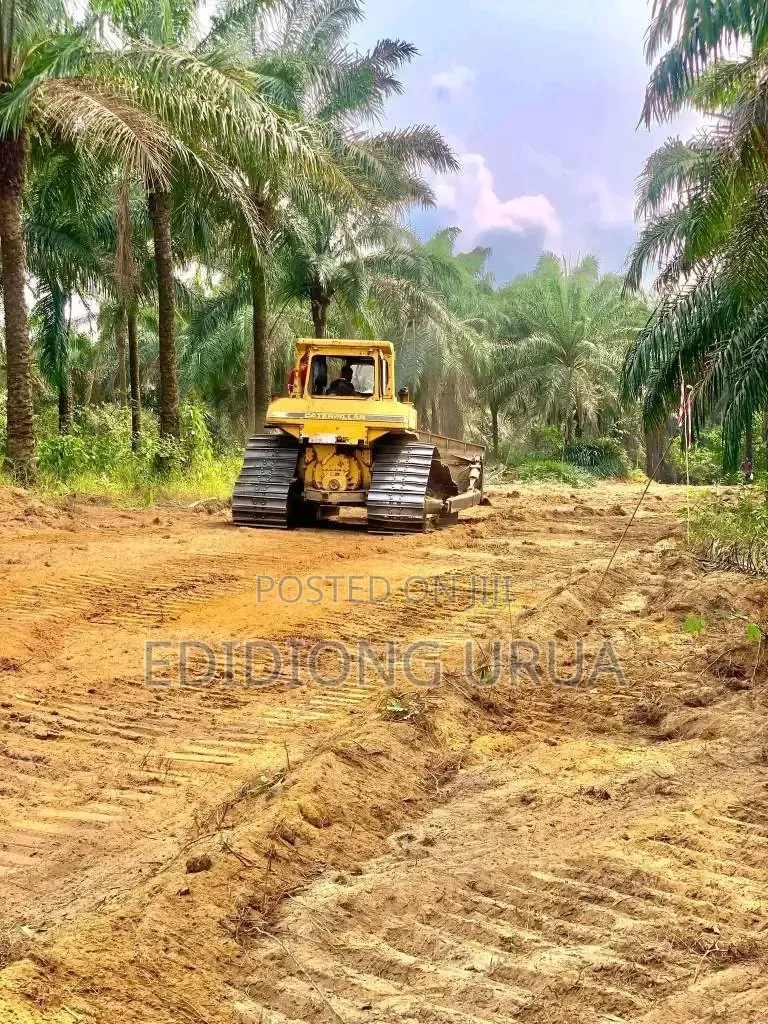 Plots of Land for Sale in Calabar, Cross River State in Calabar