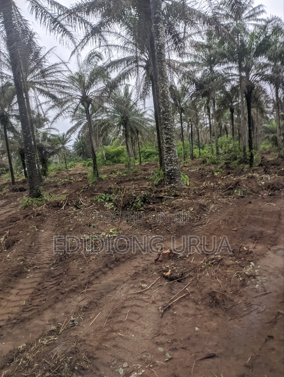 Plots of Lands Available in Uyo, Akwaibom in Uyo