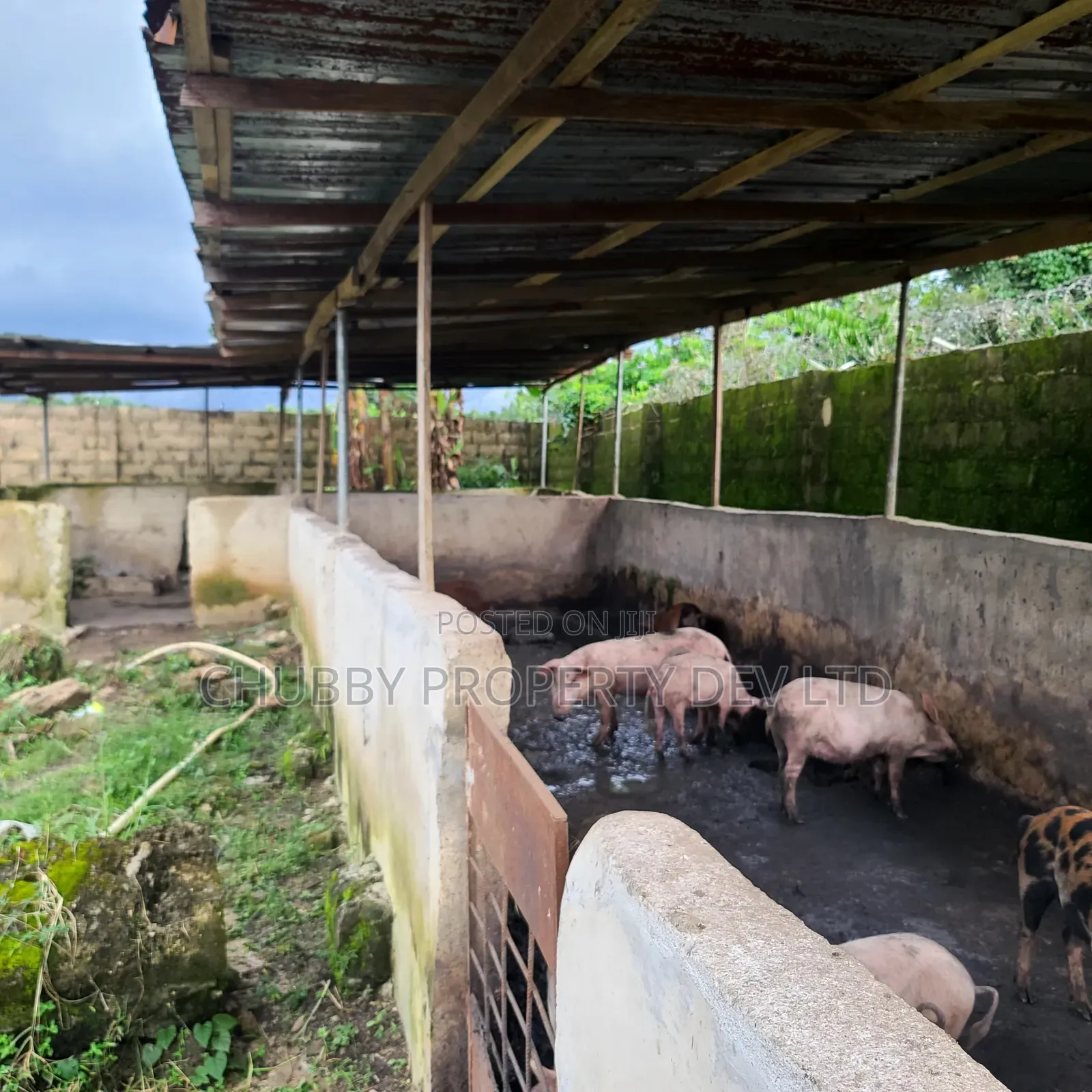 Plots of Land for Livestock Farming in Umuahia