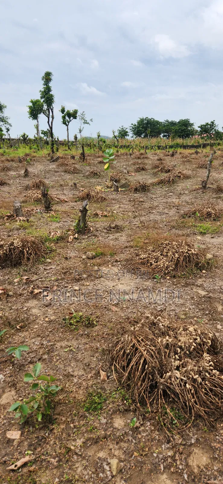 Exclusive Estate Land for Sale in Kuje, Abuja in Kuje