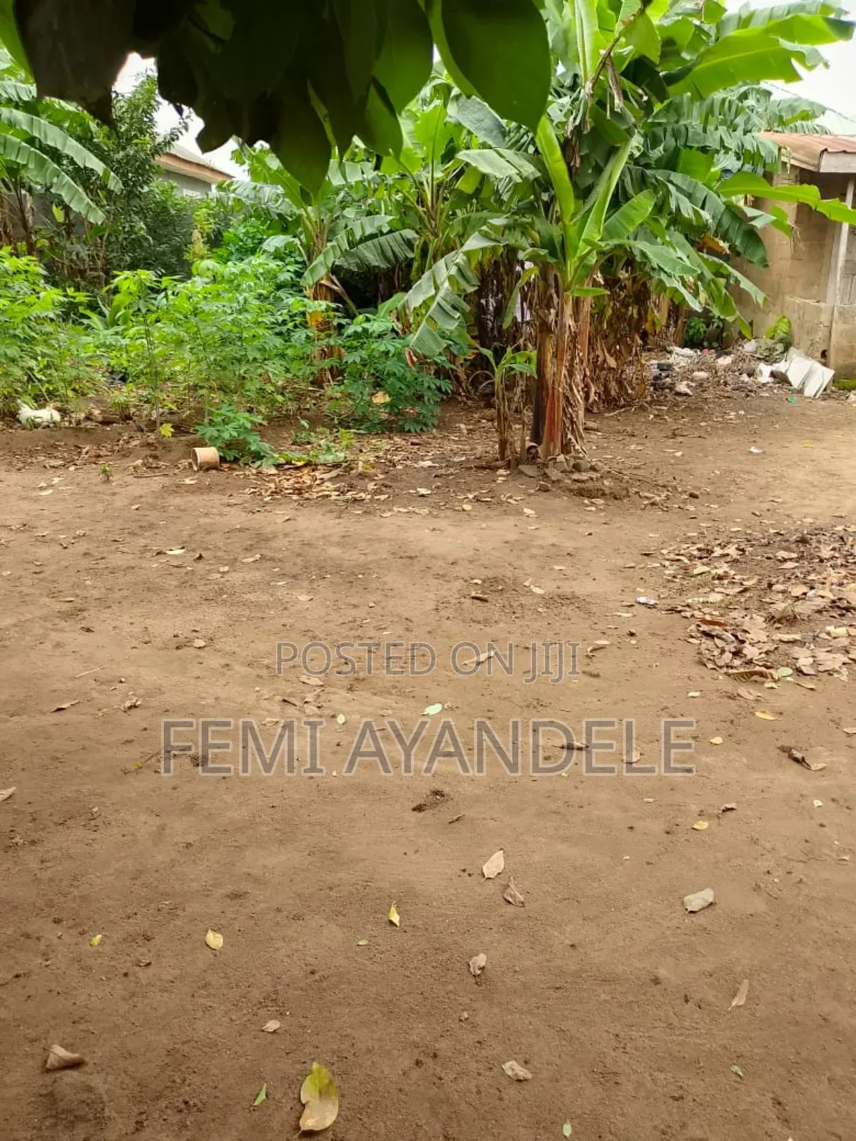 Hottest Sale in Igbogbo
