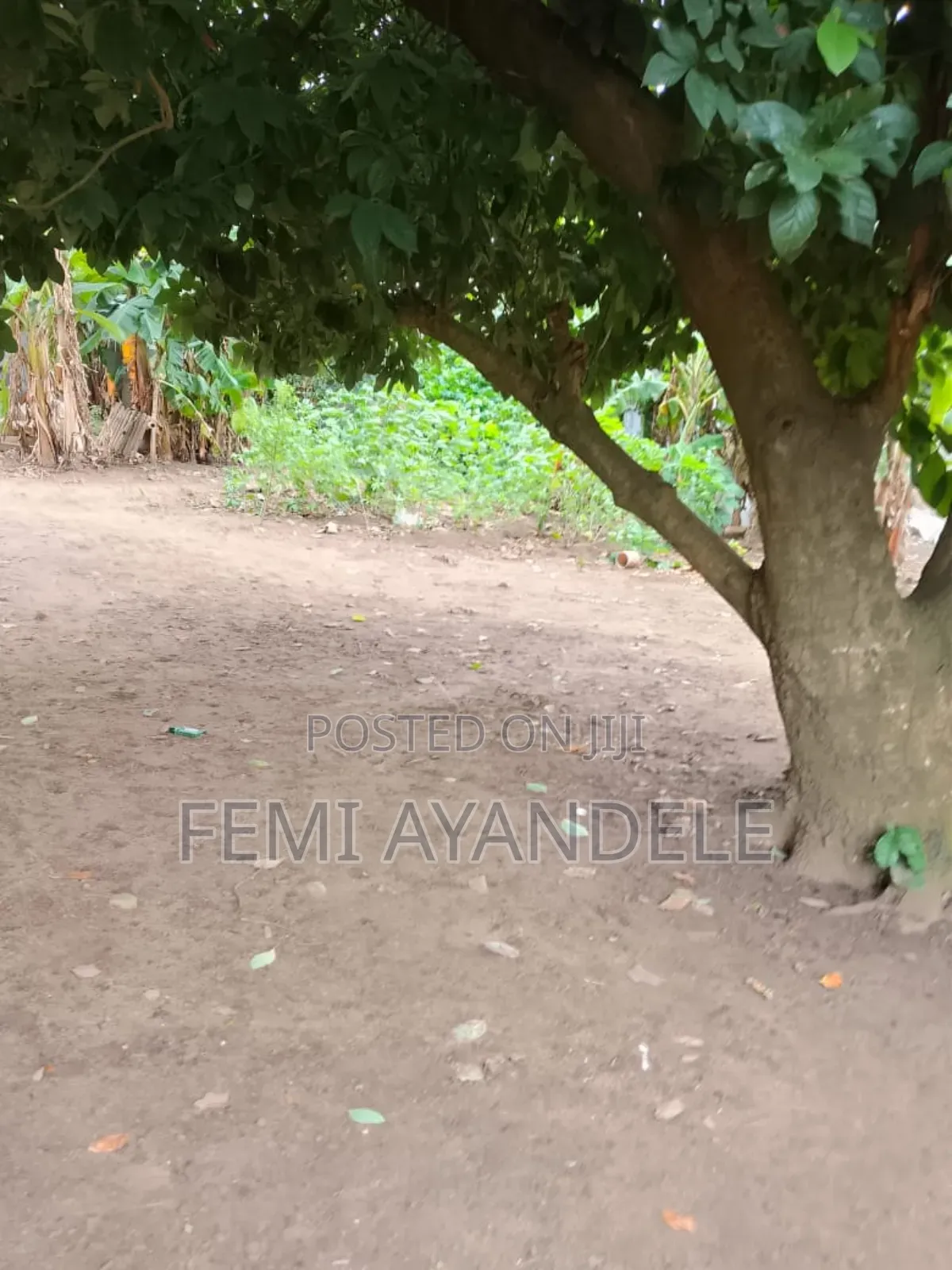 Hottest Sale in Igbogbo