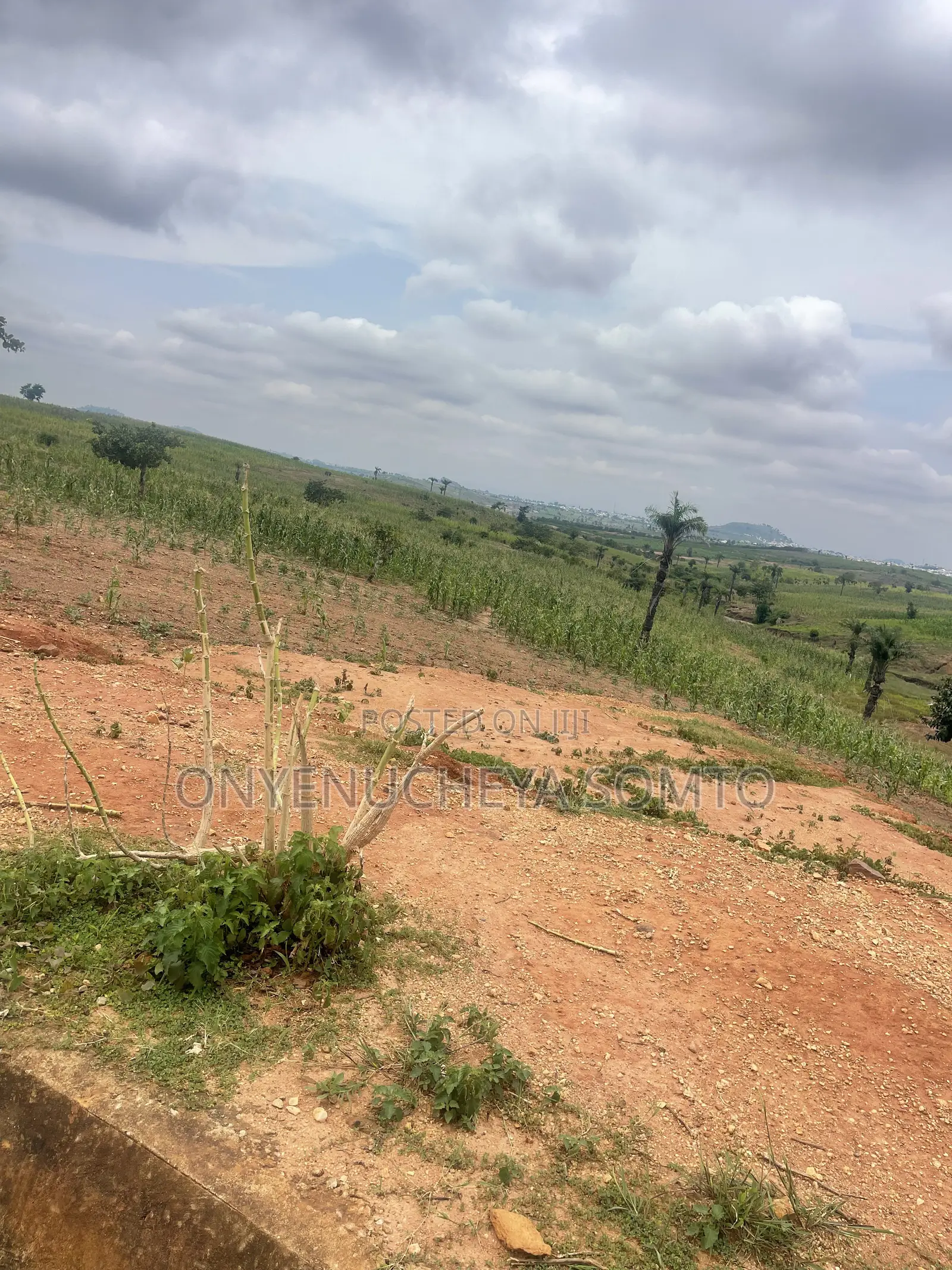 170SQM Estate Plot for 3 Bedroom Terrace With C of O in Wasa