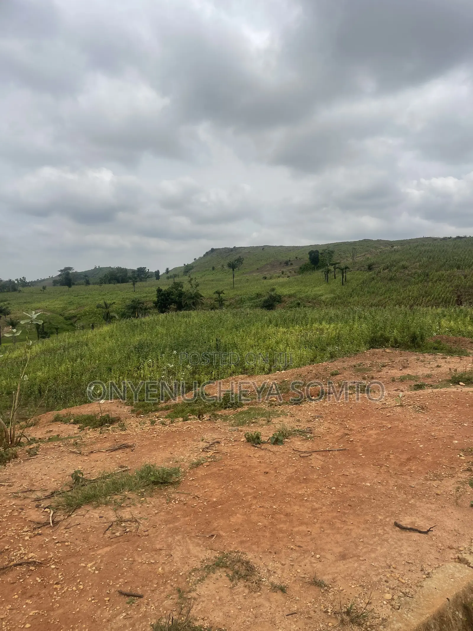 350SQM Estate Land for 4 Bedroom Detached Duplex With C of O in Wasa