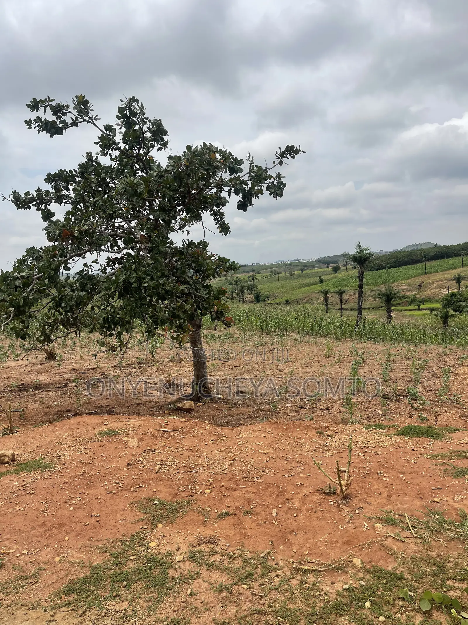 350SQM Estate Land for 4 Bedroom Detached Duplex With C of O in Wasa