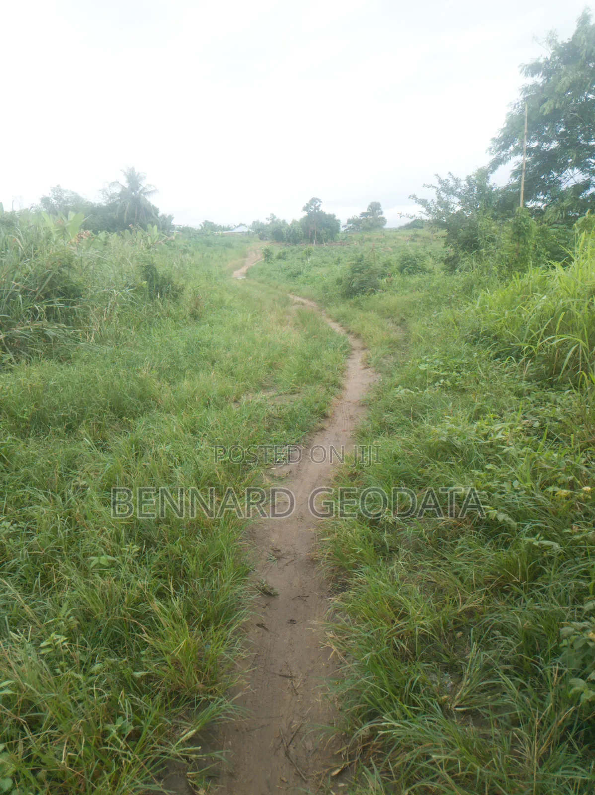Farmland for Sale in Ifo
