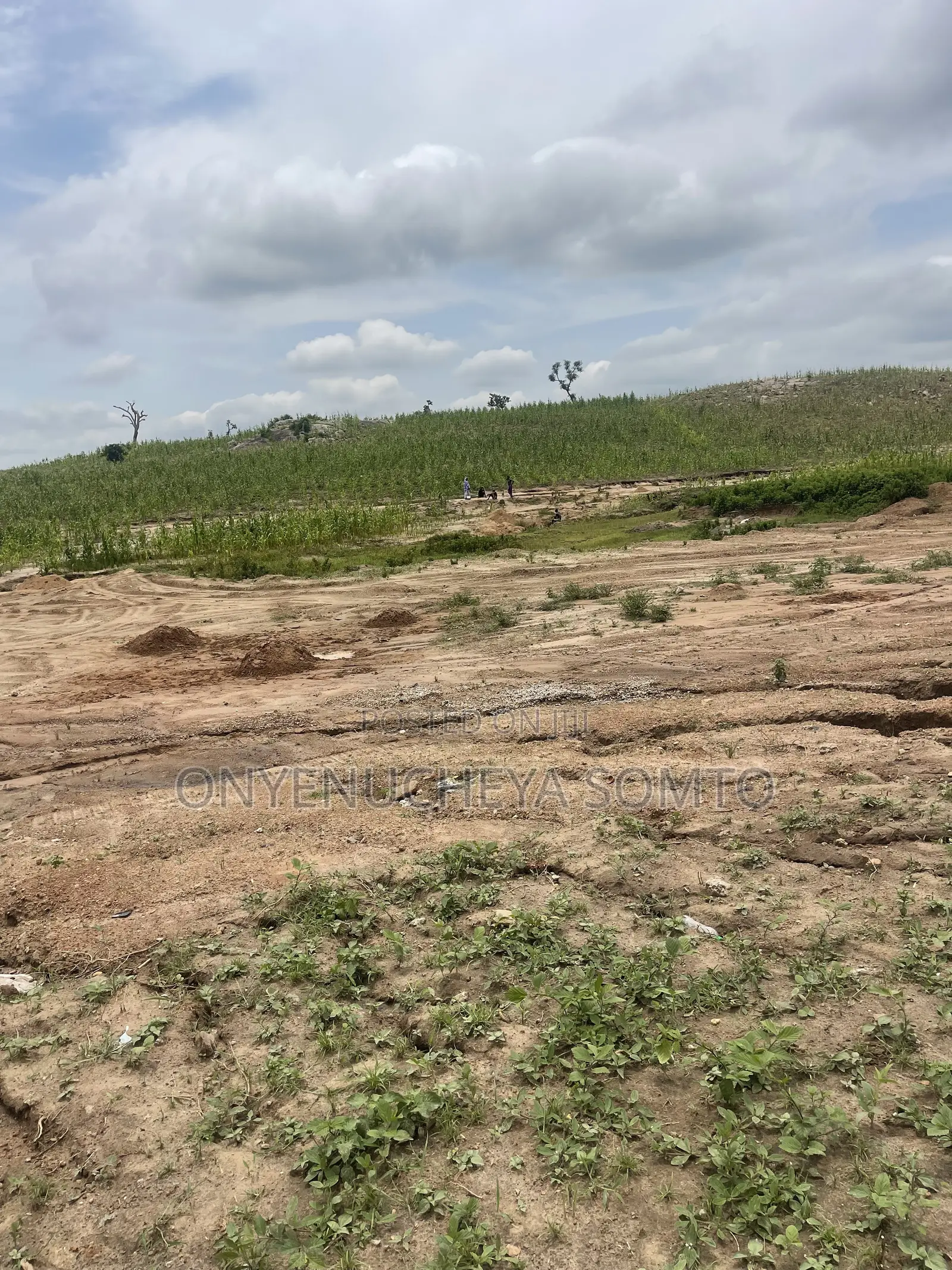 1000SQM Residential Land Plot With C of O in Wasa