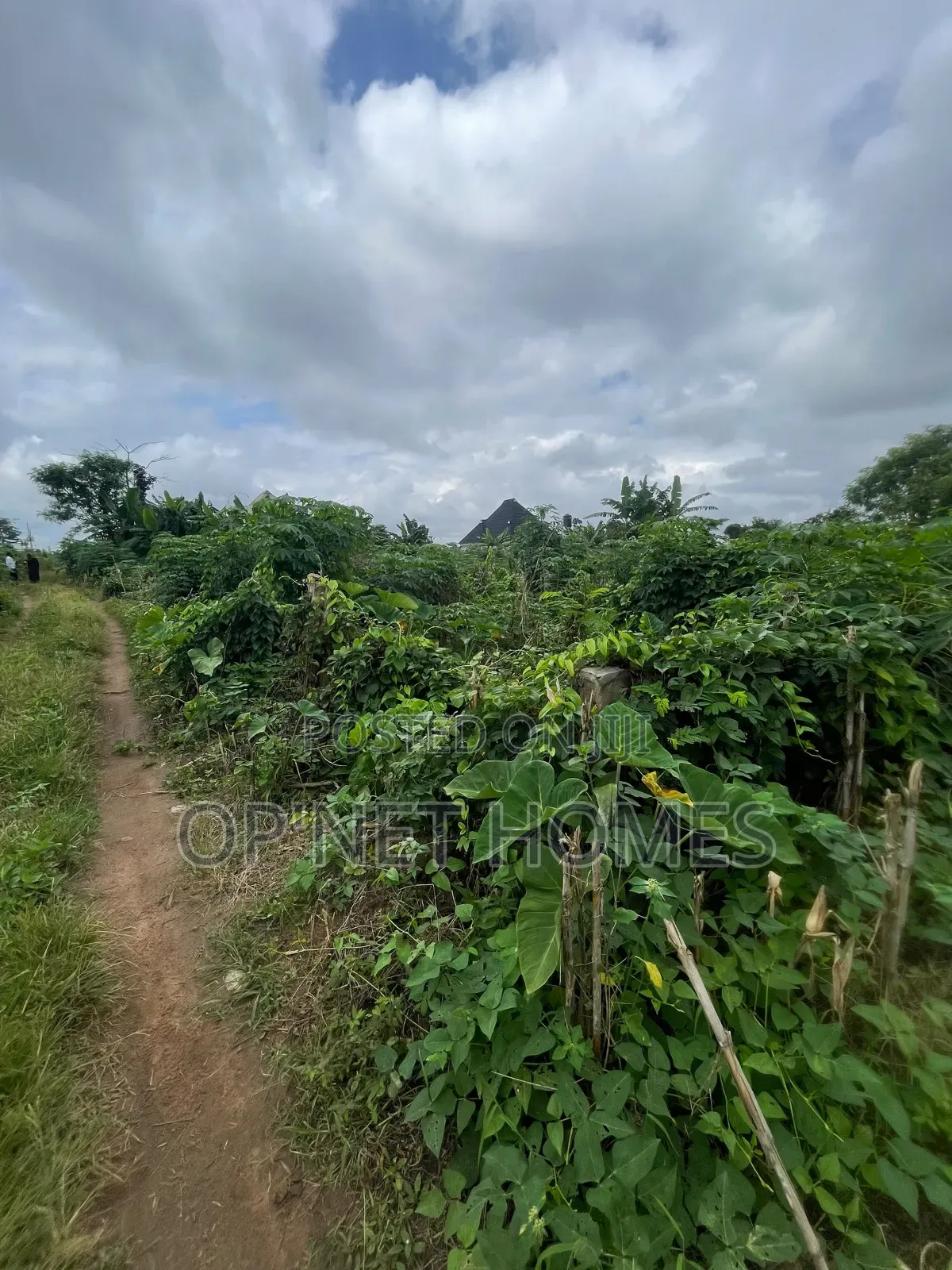 A Plot of Land Is Available in Akure
