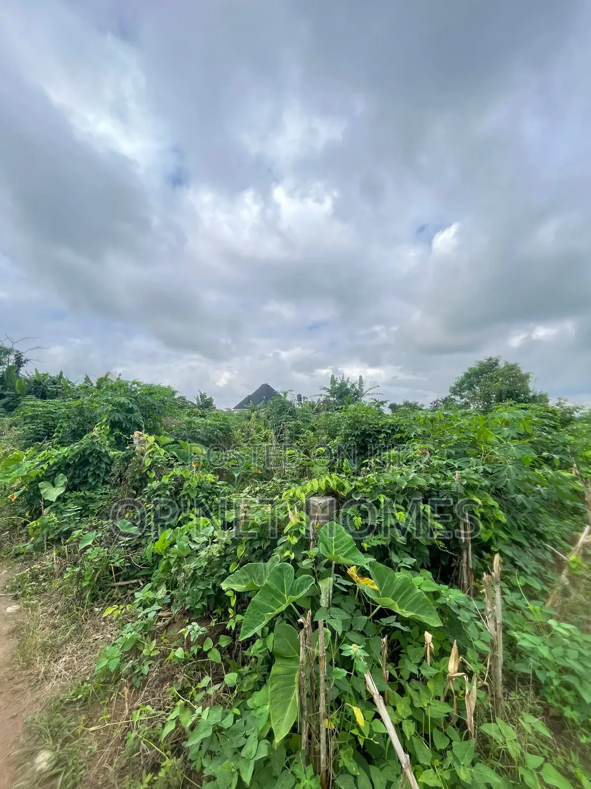 A Plot of Land Is Available in Akure