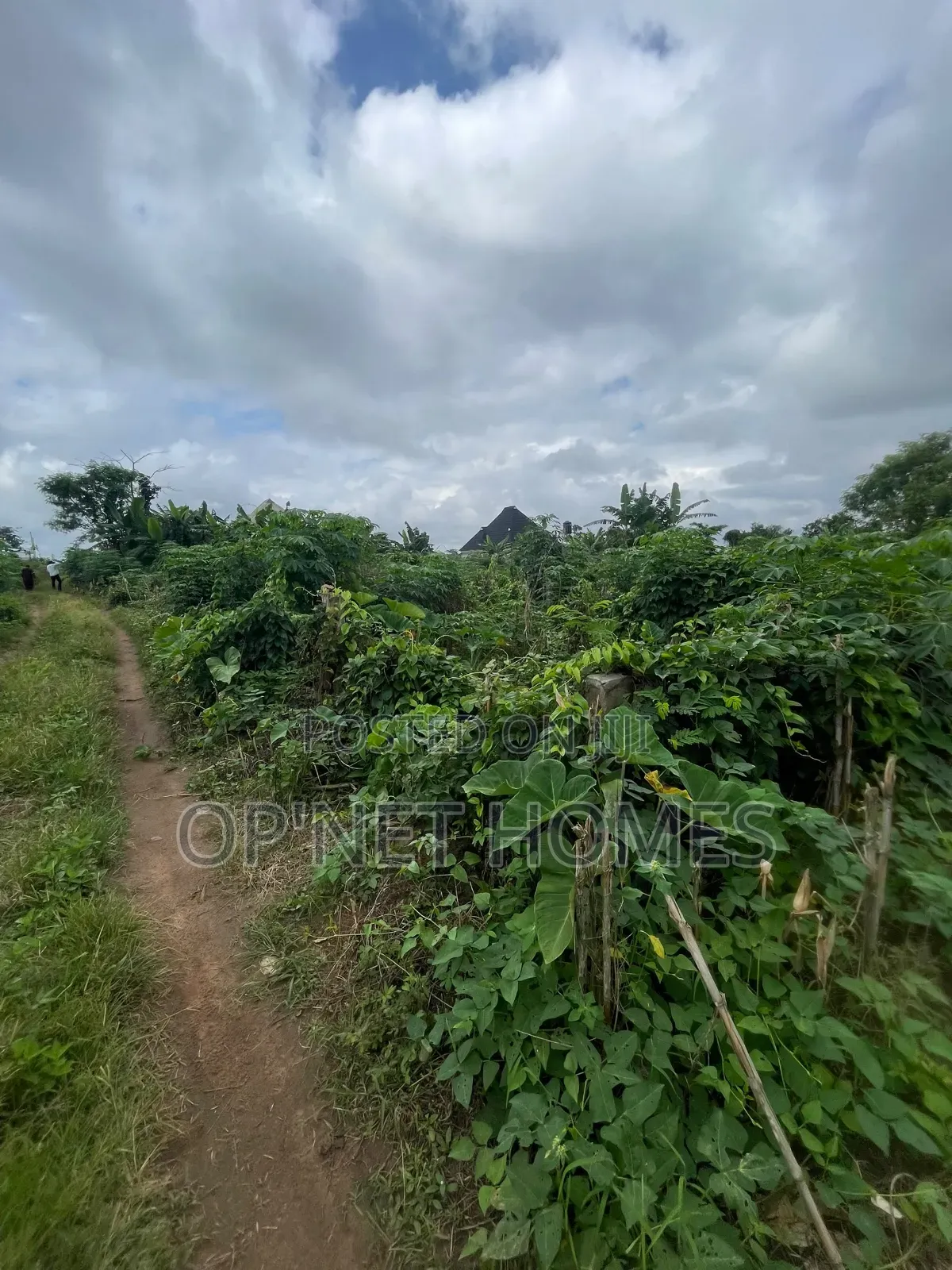 A Plot of Land Is Available in Akure