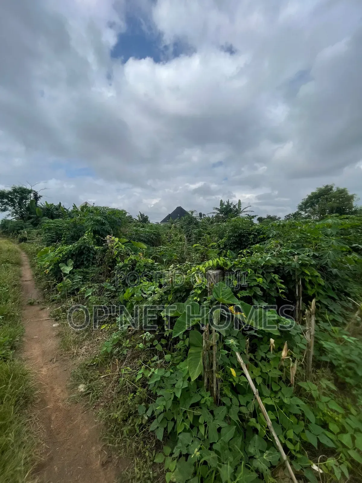 A Plot of Land Is Available in Akure