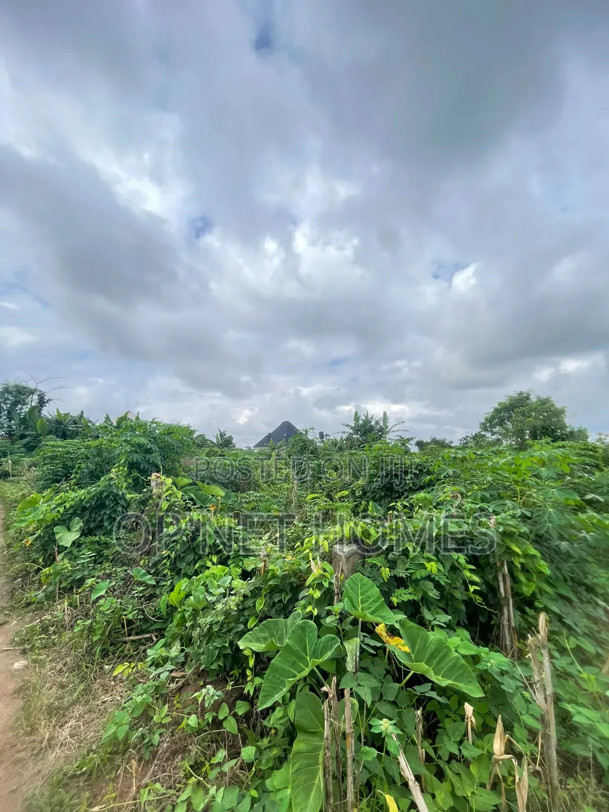 A Plot of Land Is Available in Akure