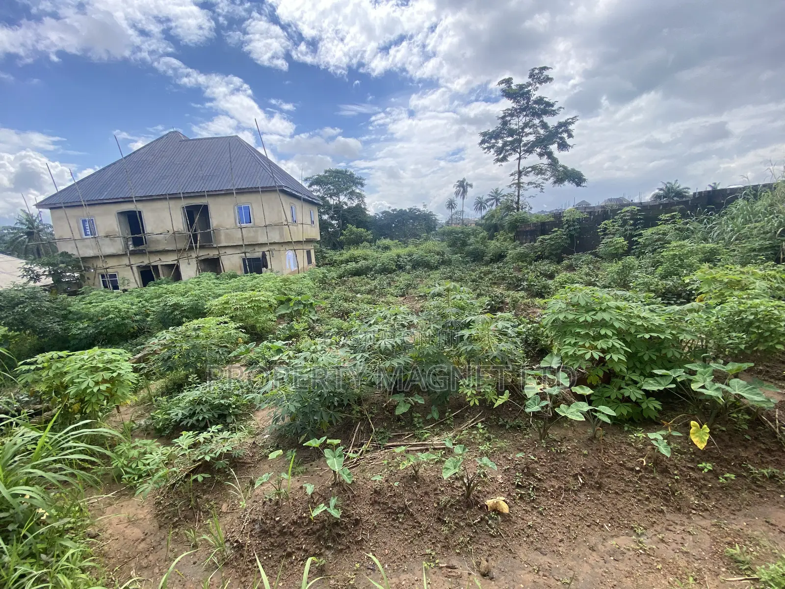 Massive 1 Plot of Land for Sale at Umueze Ibeku Umuahia in Umuahia