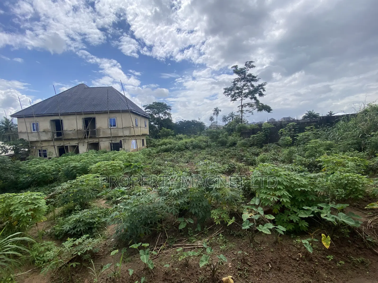 Massive 1 Plot of Land for Sale at Umueze Ibeku Umuahia in Umuahia
