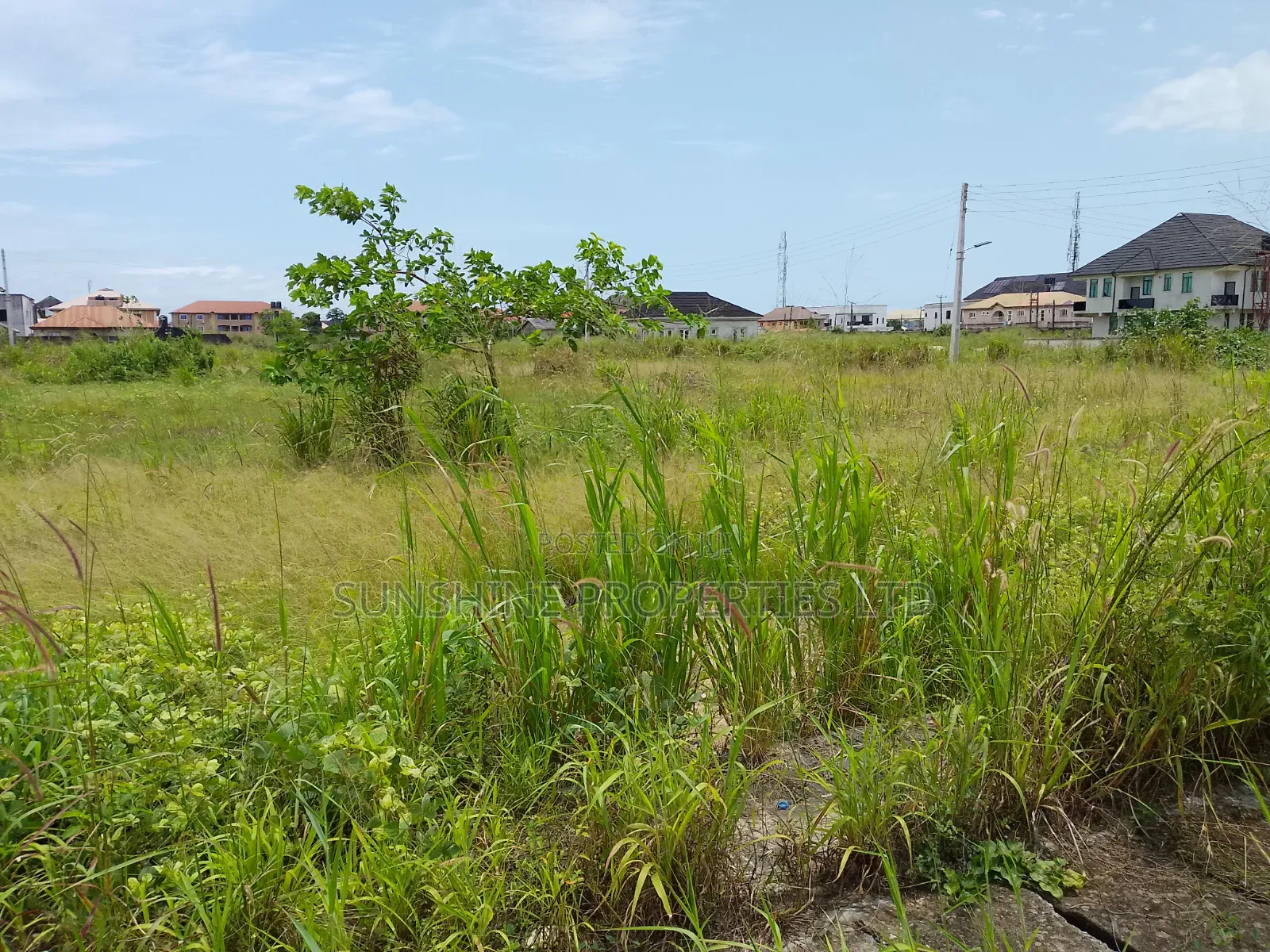 One Plot of Land for Sale in Sangotedo