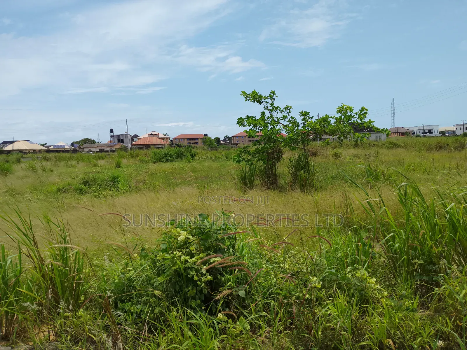 One Plot of Land for Sale in Sangotedo