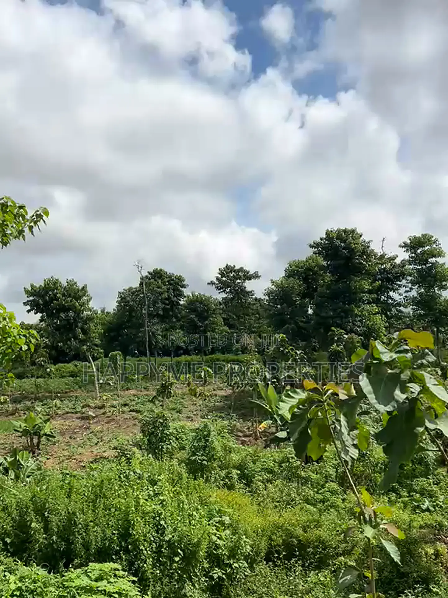 Distress Sale | 2 Prime Residential Plots in Durumi in Durumi