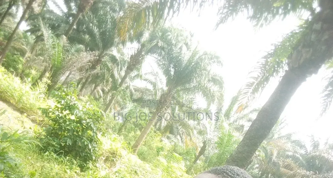 20 Plots of Land for Sale at Owaza Abia State in Ukwa