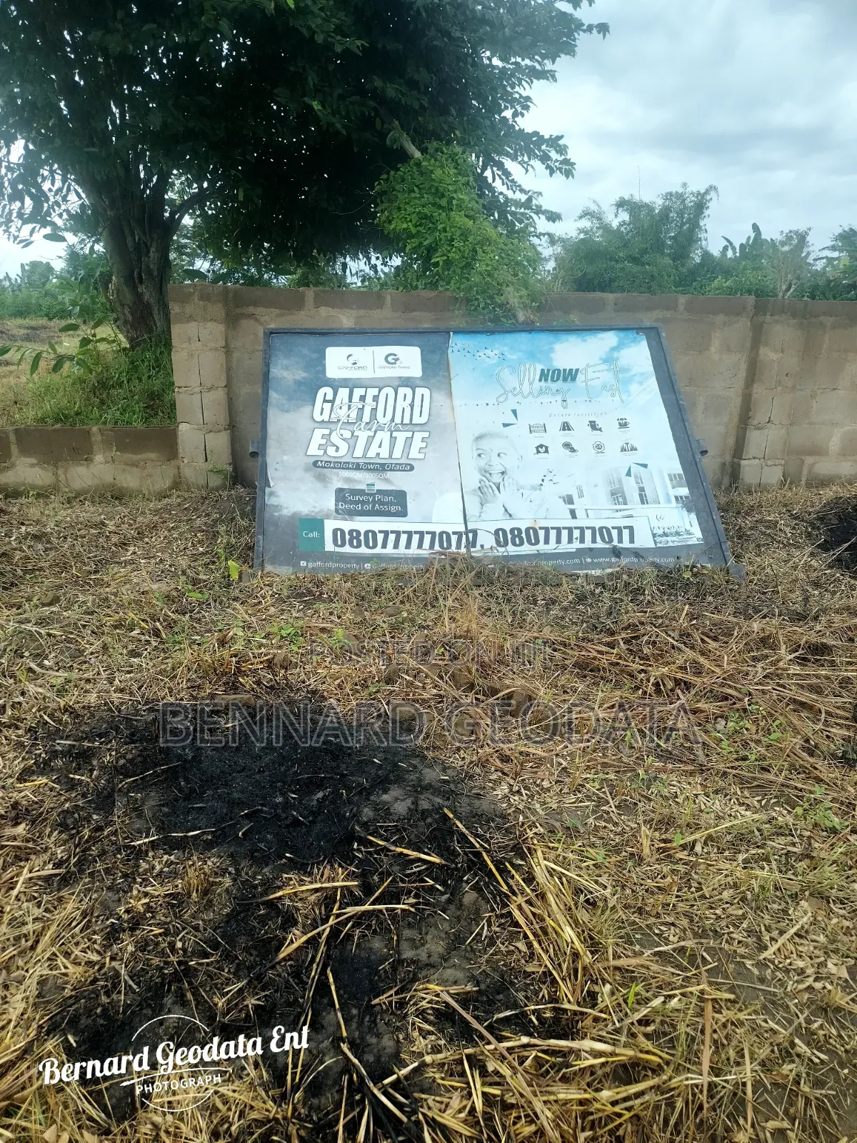 Farmland for Sale in Ifo