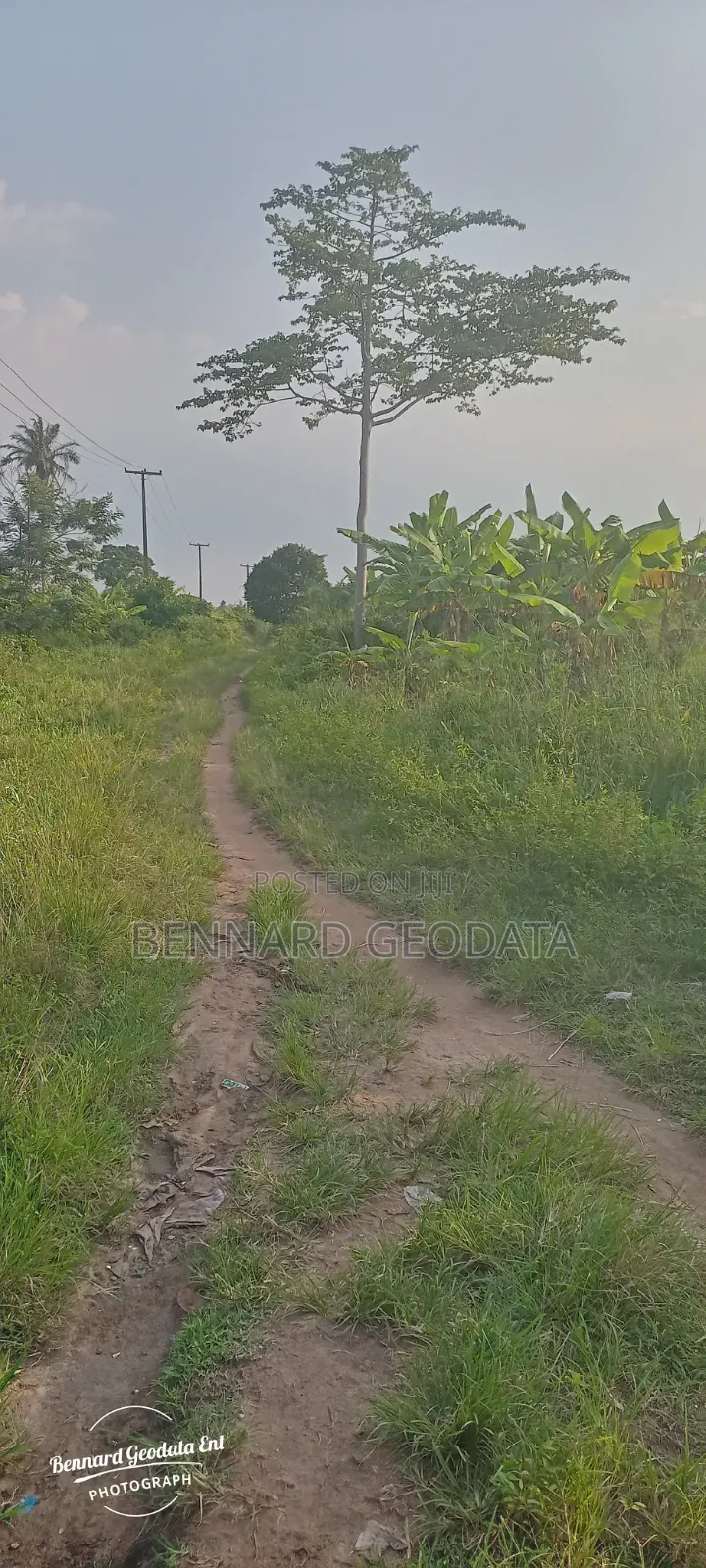 Farmland for Sale in Ifo