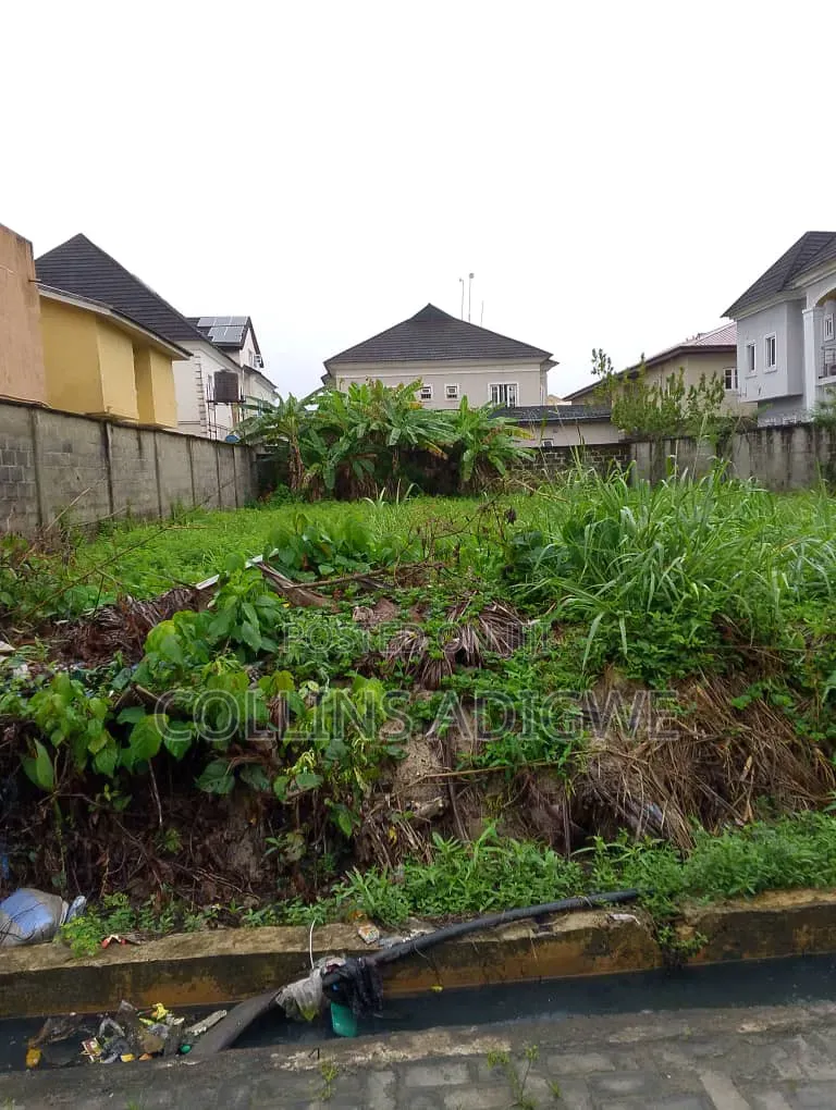648sqm Land for Sale Behind Blenco Sangotedo Ajah in Sangotedo