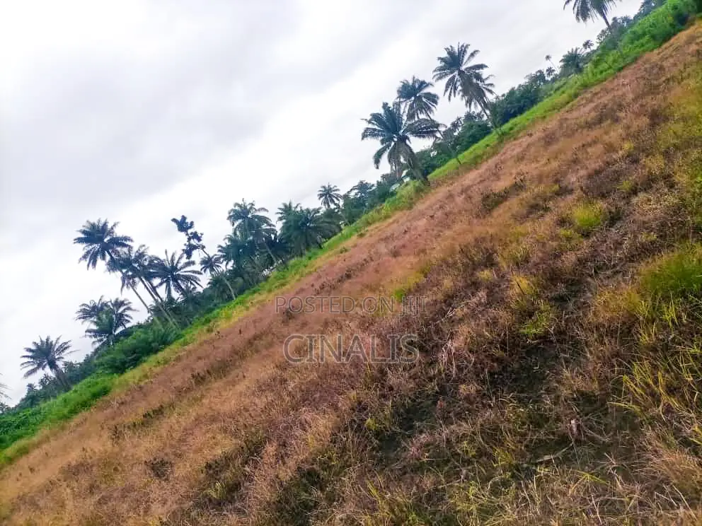 11 Acres Commercial Land for Business Use in Oluyole