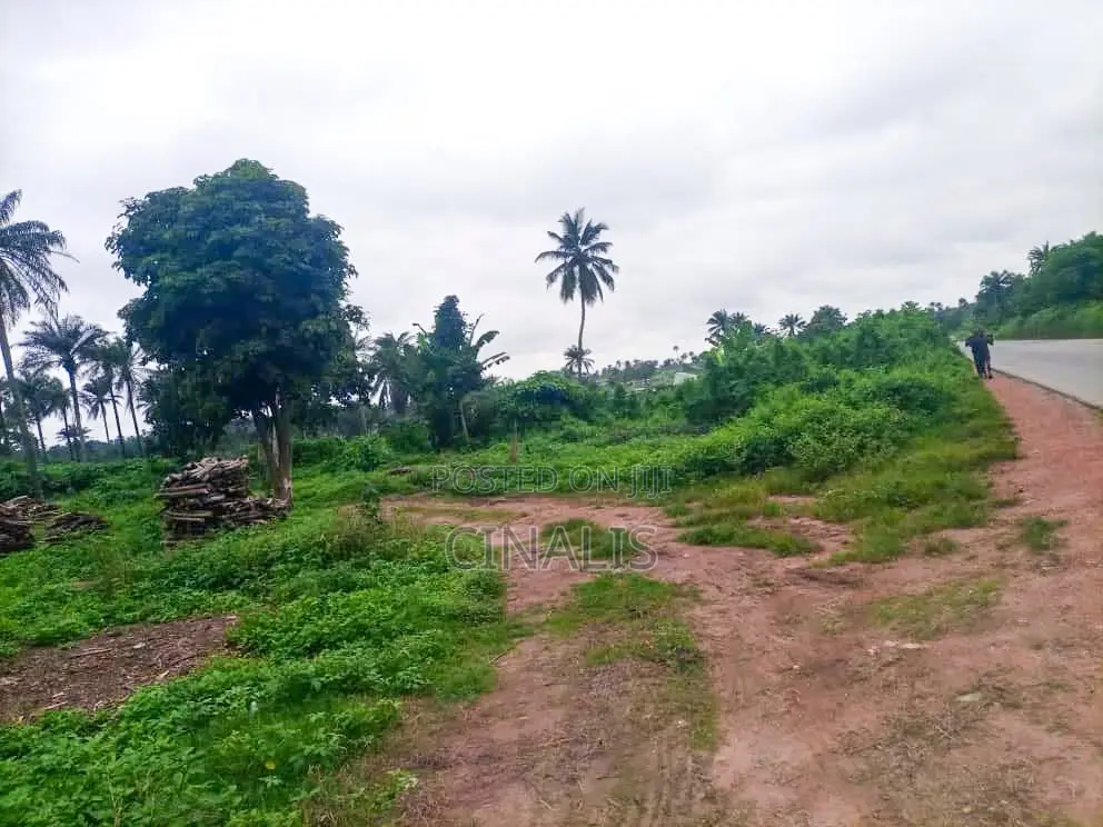 11 Acres Commercial Land for Business Use in Oluyole