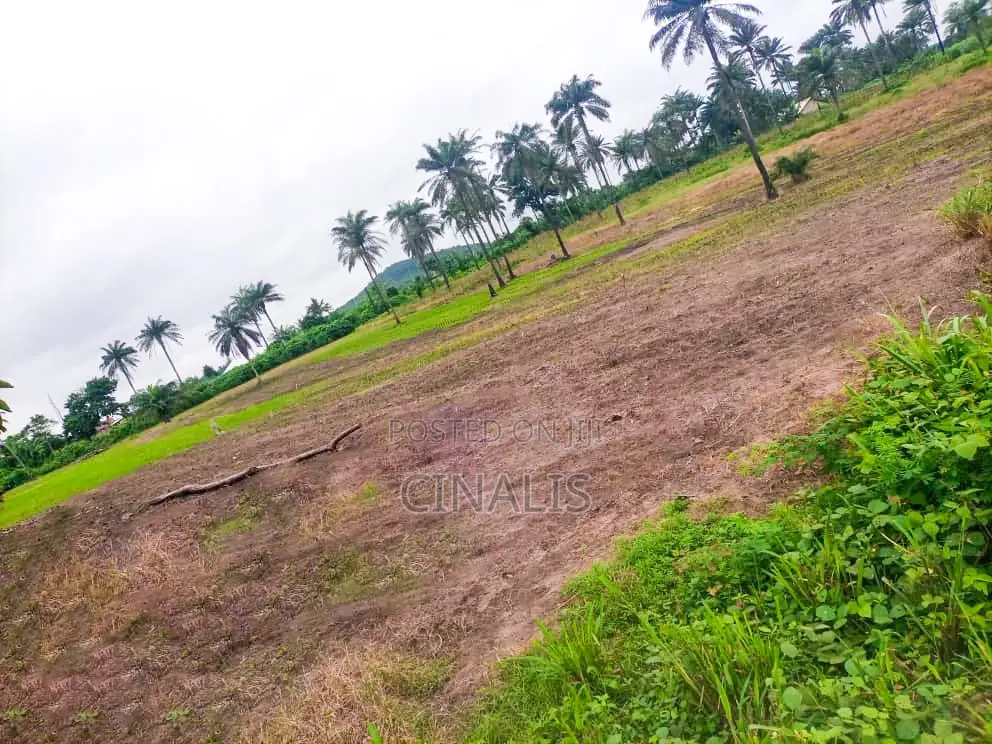Commercial Land for Warehouse, Logistics Industrial Use in Oluyole