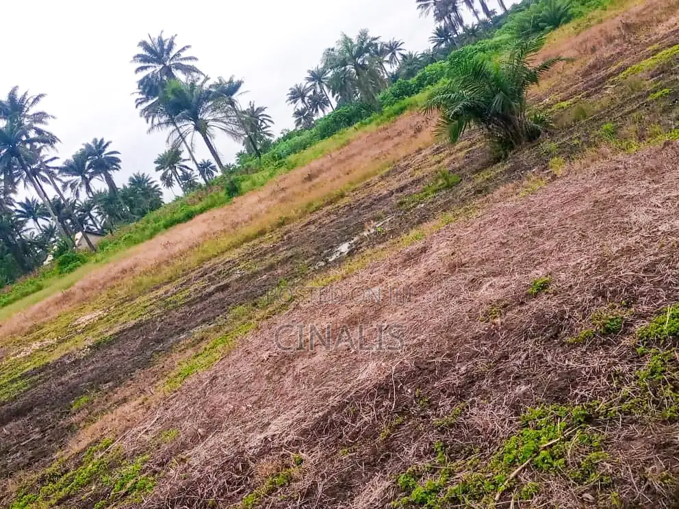 Commercial Land for Warehouse, Logistics Industrial Use in Oluyole