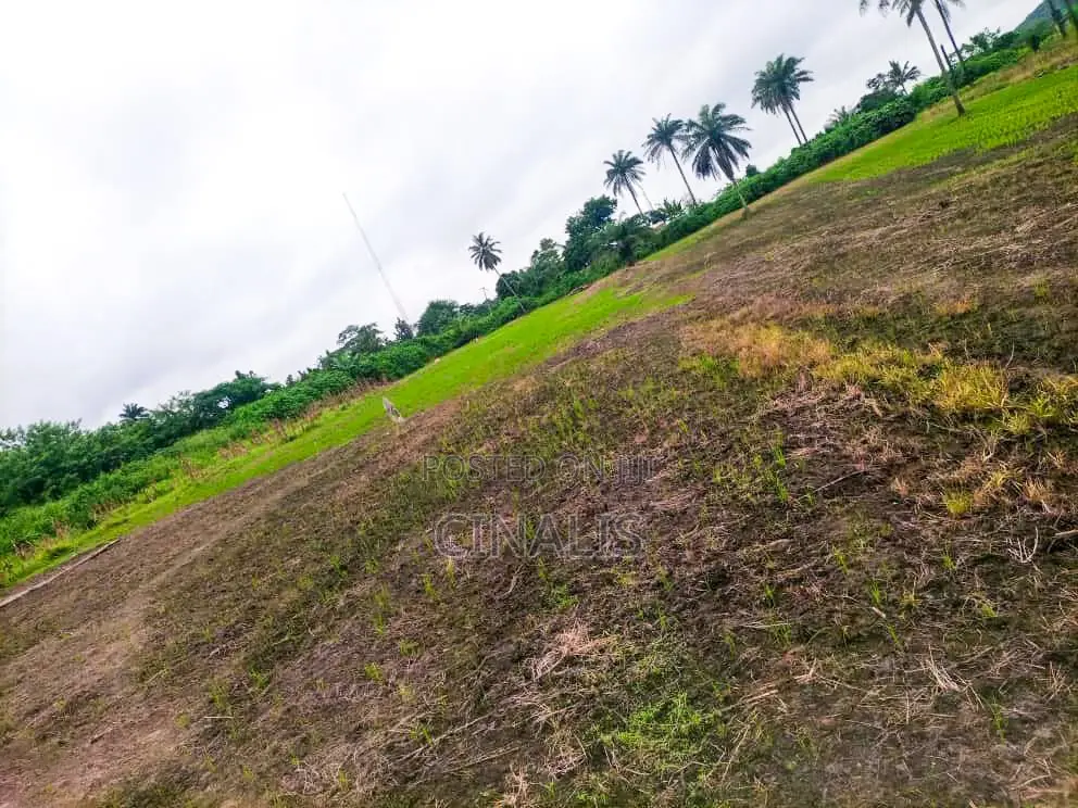 Affordable Commercial Land for Business Operations in Oluyole