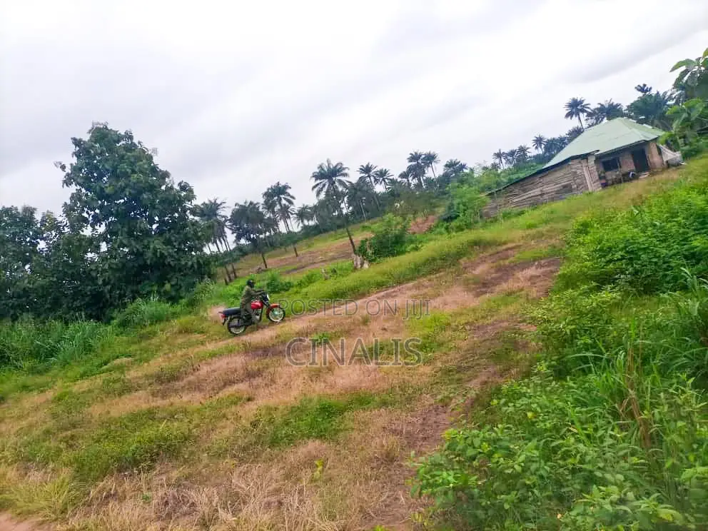 Affordable Commercial Land for Business Operations in Oluyole