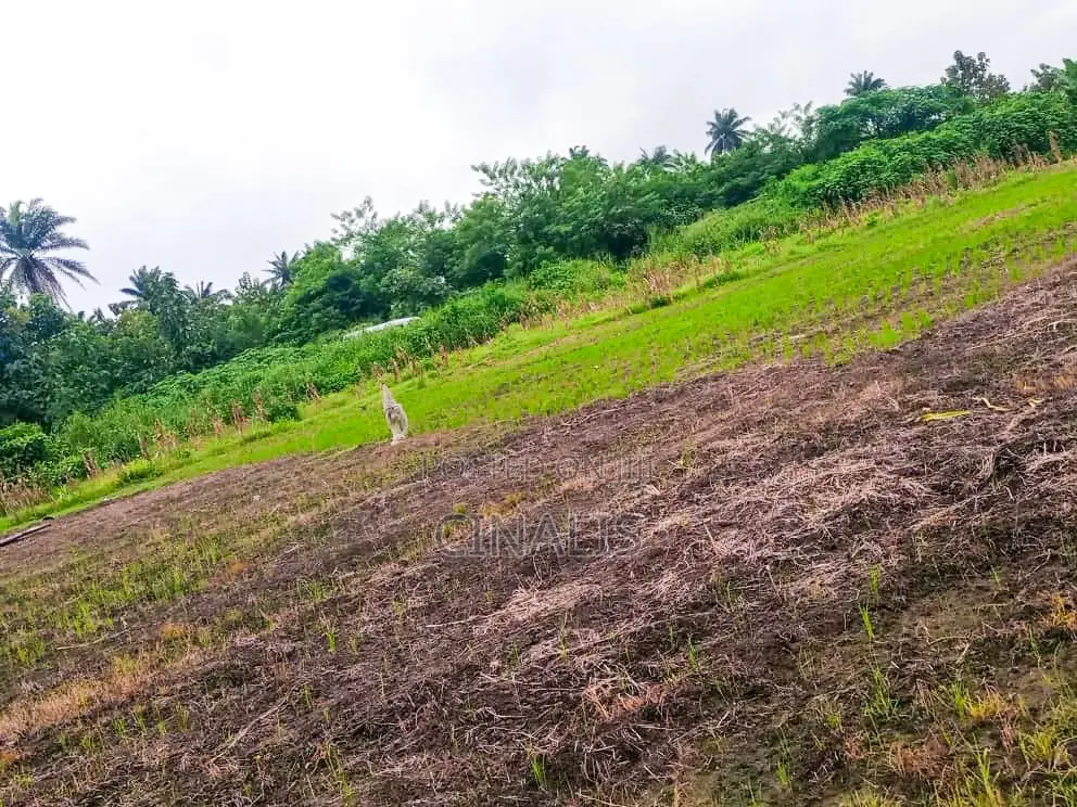 Affordable Commercial Land for Business Operations in Oluyole