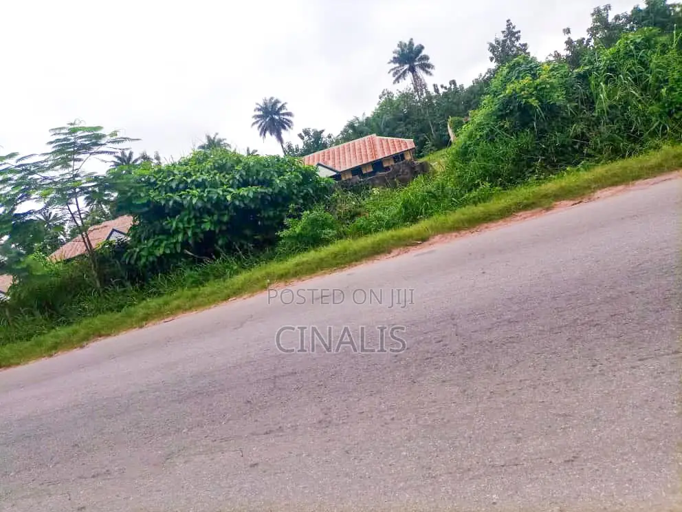 Affordable Commercial Land for Business Operations in Oluyole