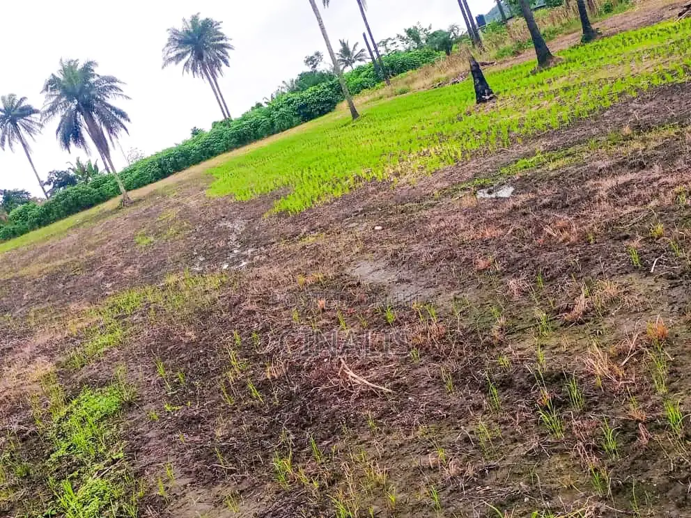 Affordable Commercial Land for Business Operations in Oluyole