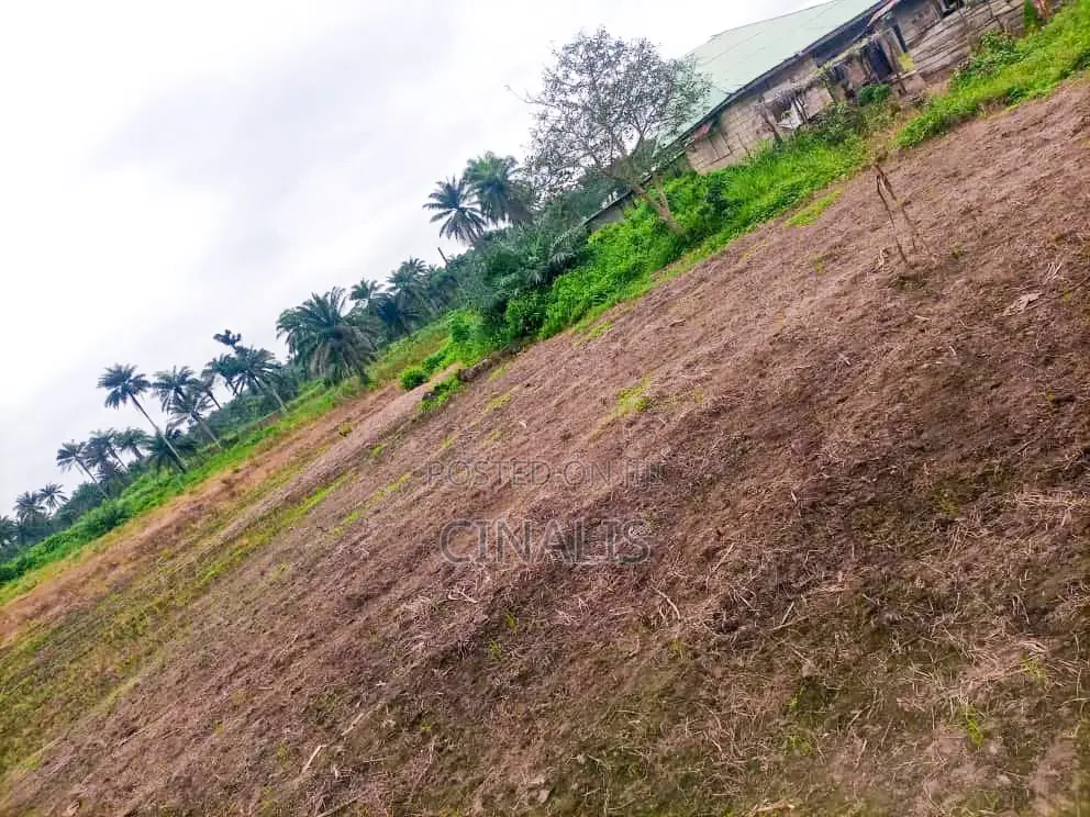 11 Acres Commercial Land for Business Use in Oluyole