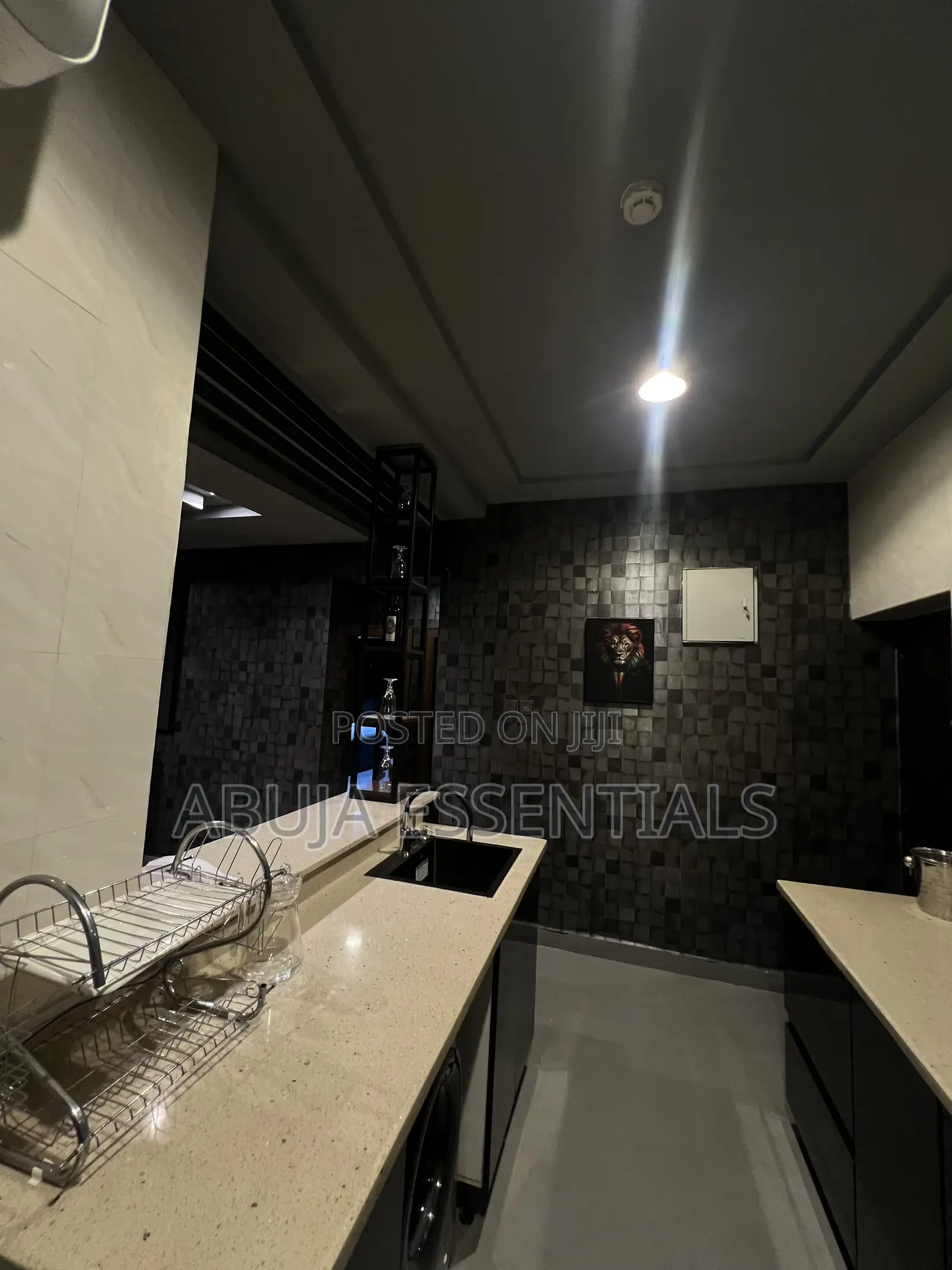 Black Themed 2 Bedroom Apartment Maitama in Maitama