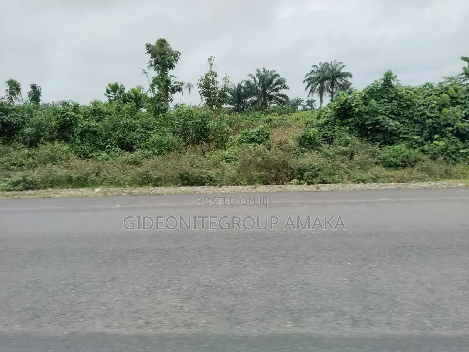 Land for Sale in Abraka in Ethiope East