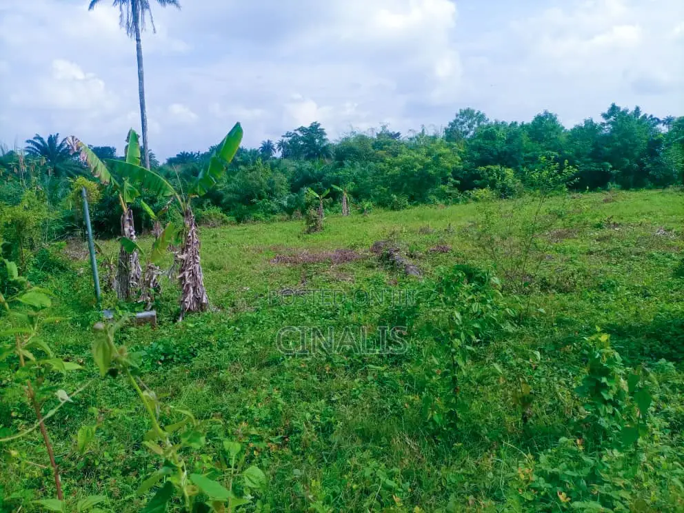 Residential Land With Registered Survey in Moniya