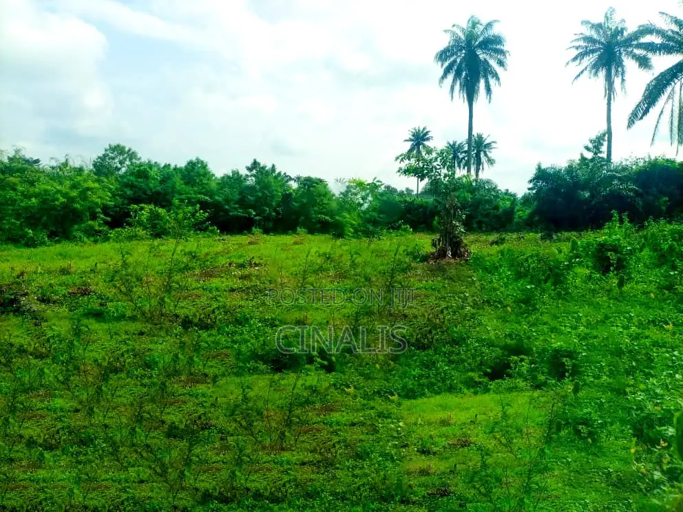 Residential Land With Registered Survey in Moniya