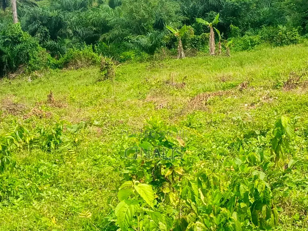 Affordable Residential Land in Moniya