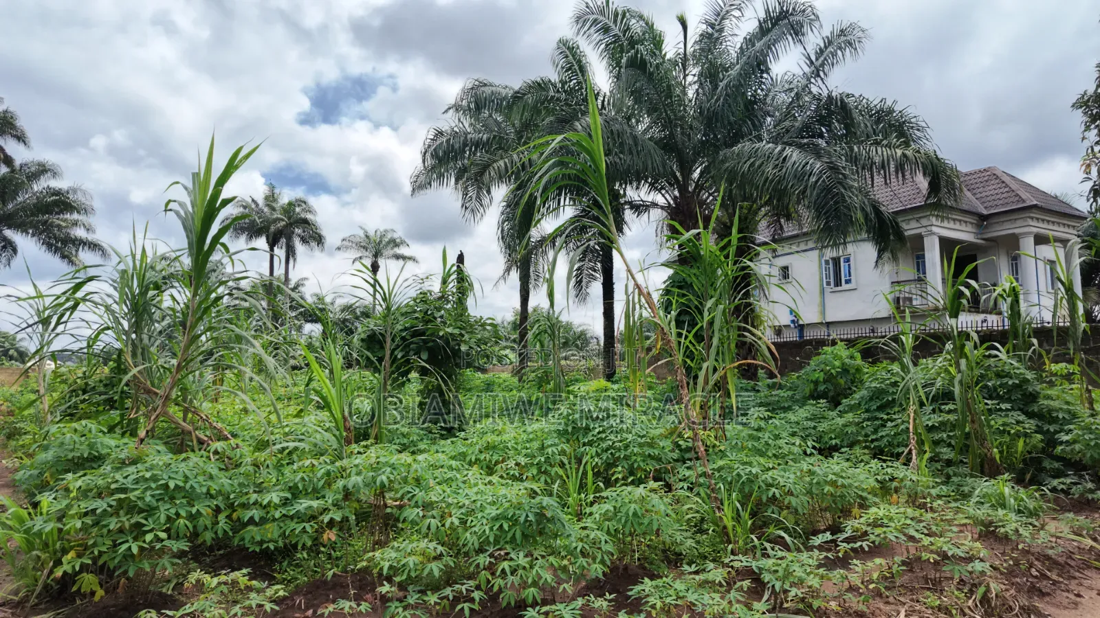 6 Plots of Land Available in Umuahia for Sale in Umuahia