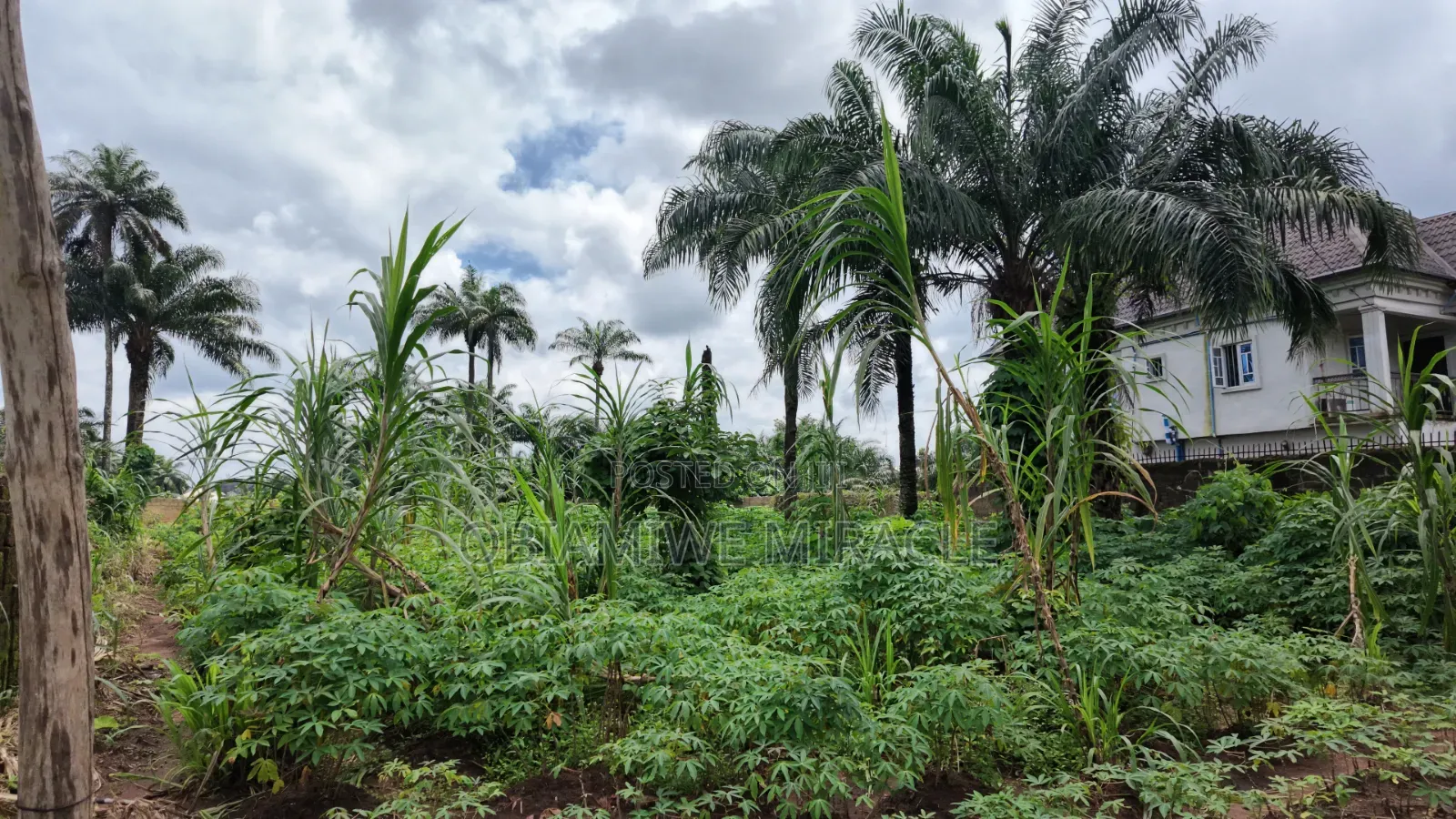 6 Plots of Land Available in Umuahia for Sale in Umuahia