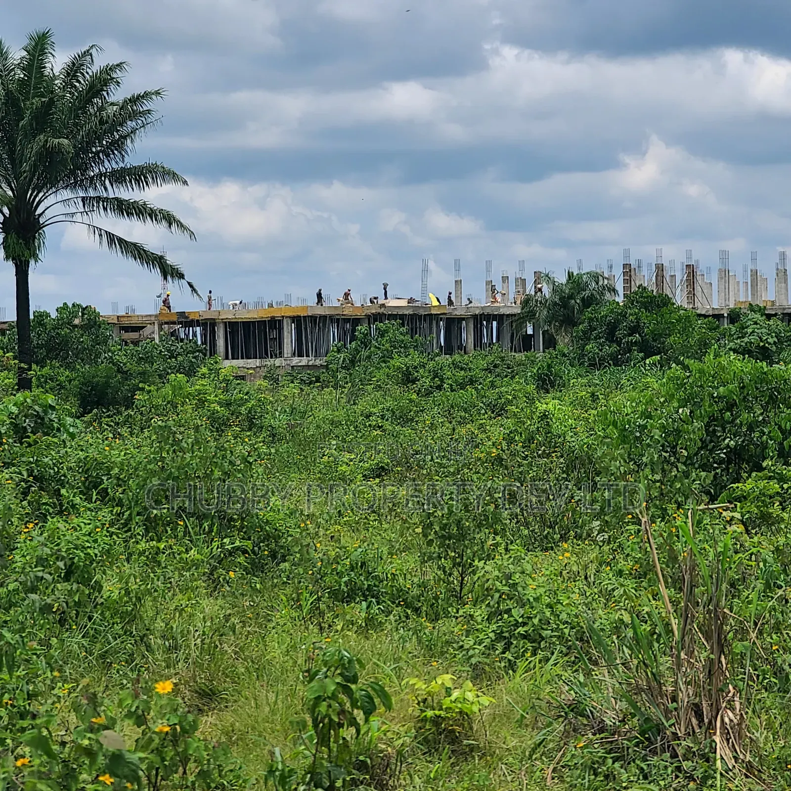 Plots of Land in Umuahia