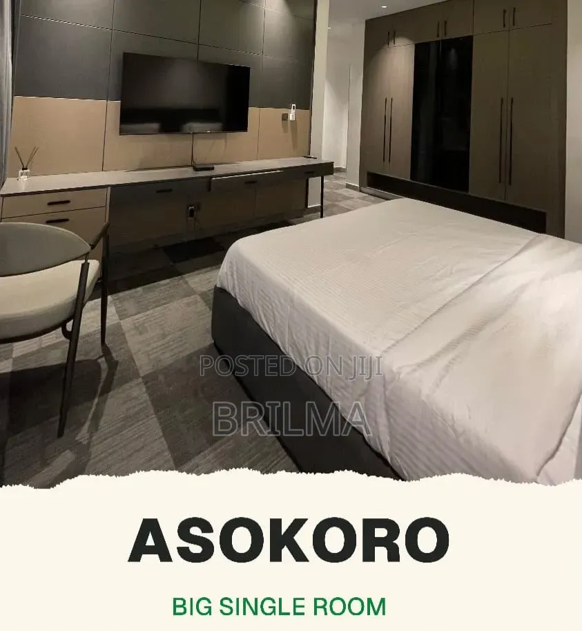 Studio Apartment in Asokoro for Shortlet in Asokoro