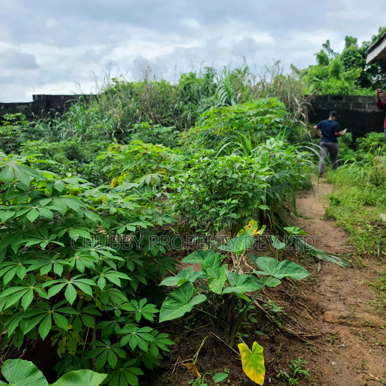 Plot of Land in Umuahia