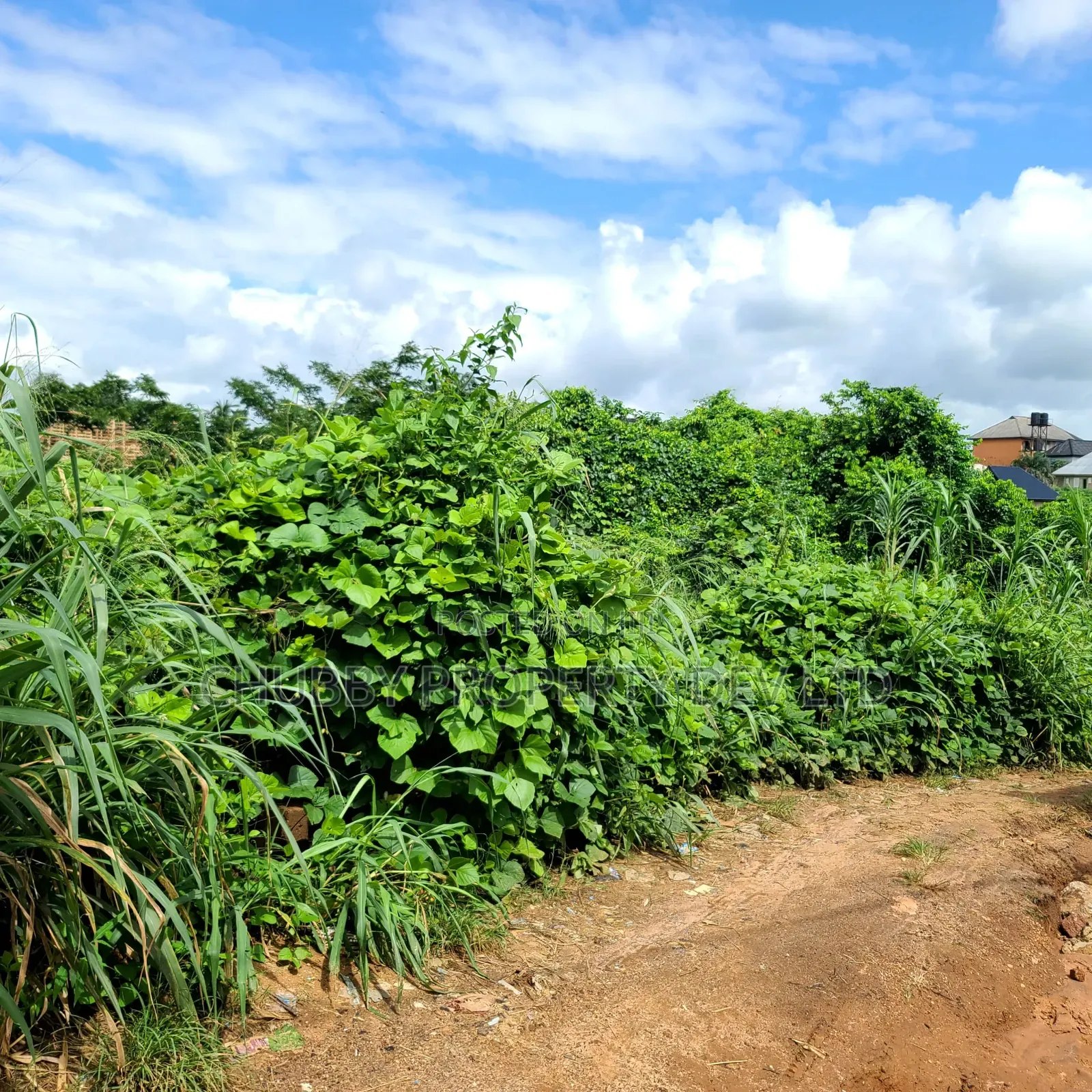 Plot of Land in Umuahia