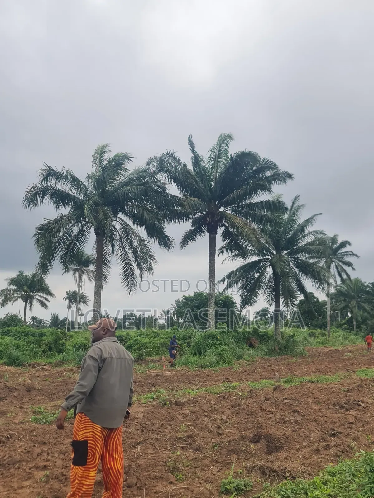 Plot Palm Rich Estate Phase 7, Ado-Odo, Ota in Ado-Odo/Ota