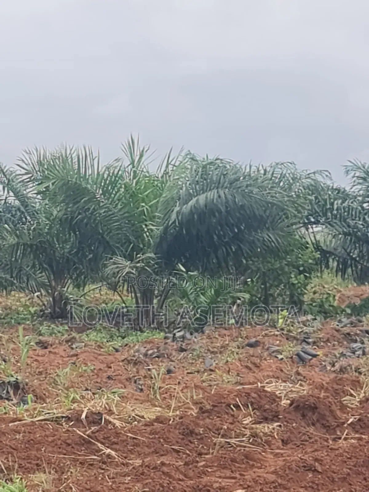 Plot Palm Rich Estate Phase 7, Ado-Odo, Ota in Ado-Odo/Ota