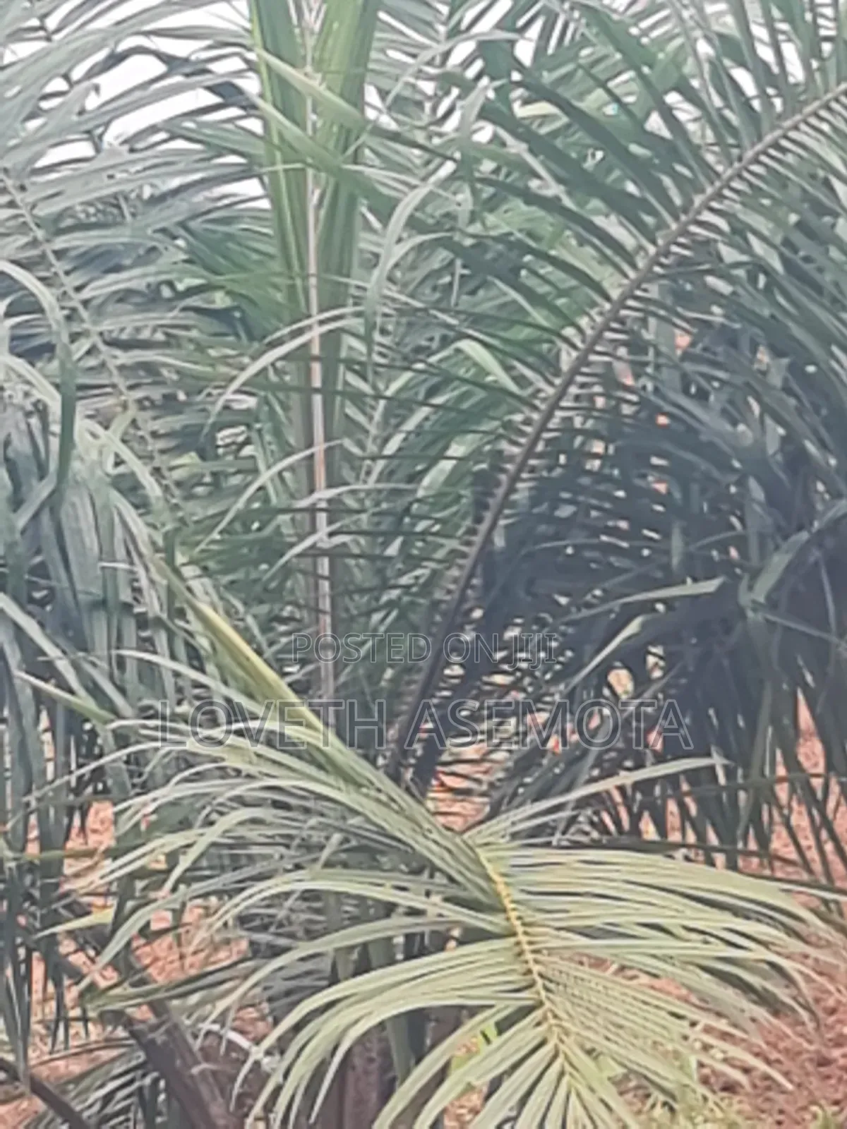 Plot Palm Rich Estate Phase 7, Ado-Odo, Ota in Ado-Odo/Ota